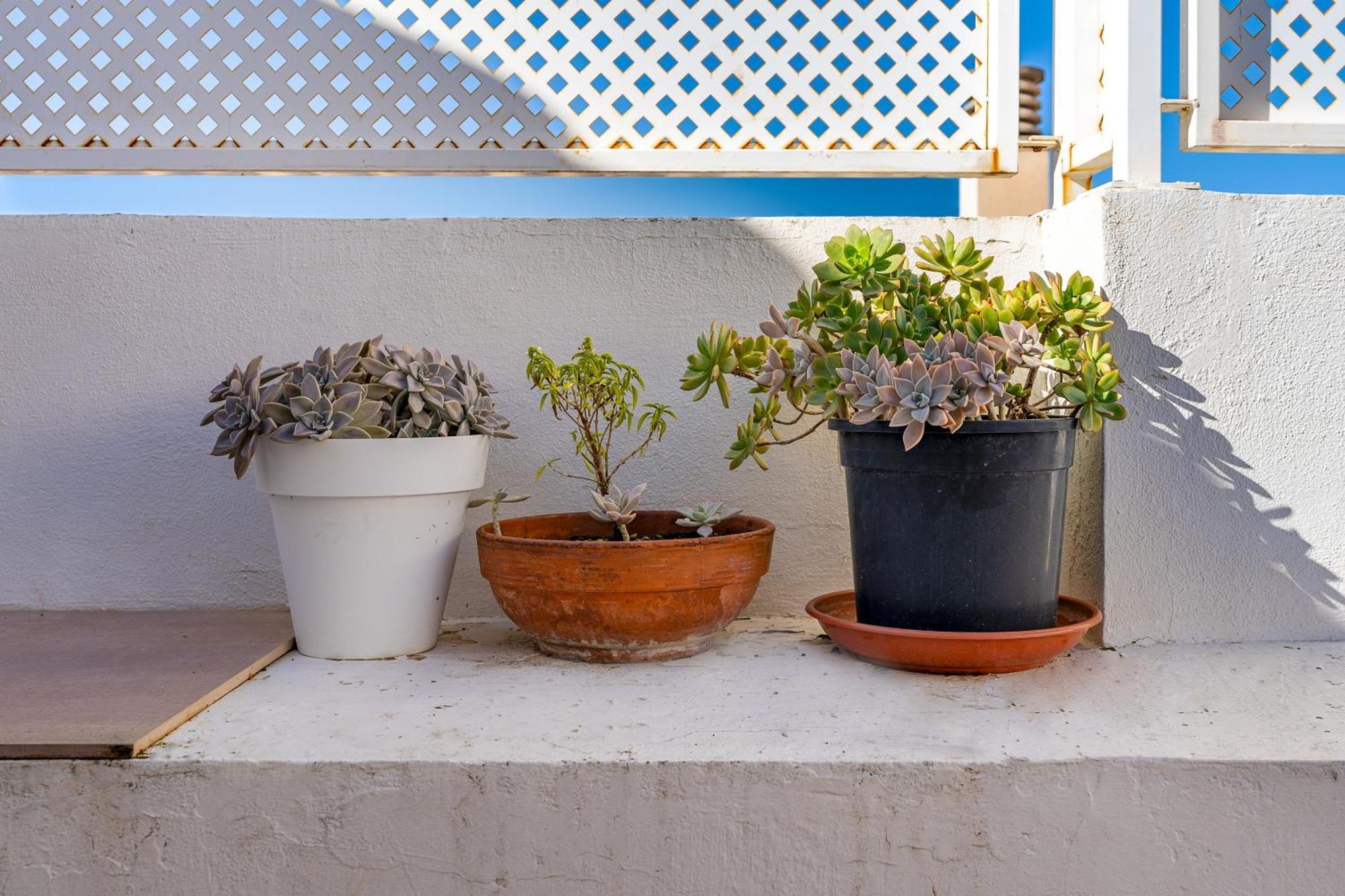 Casa Mirador Alqueria Villa Granada Kültér fotó